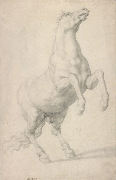 Rearing Horse by Agnolo Bronzino